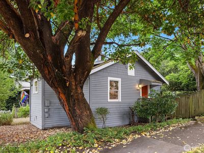 9559 College Way N, Seattle, WA, 98103