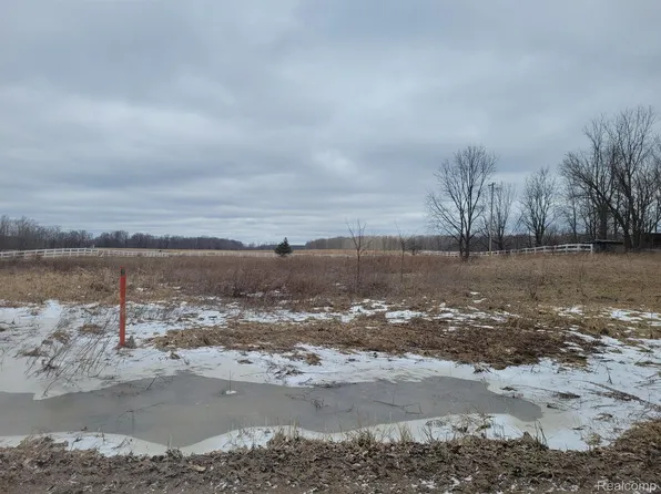 Lovejoy Rd, Byron, MI 48418