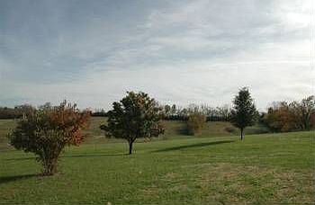 5th image of 491 Booneridge Ln