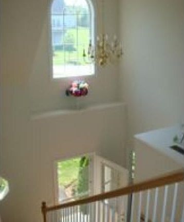 3rd image of 16 S Parrish Dr