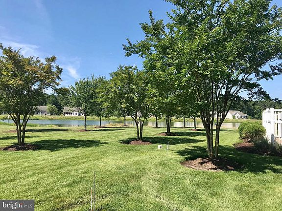 5th image of 34885 Seagrass Plantation Ln