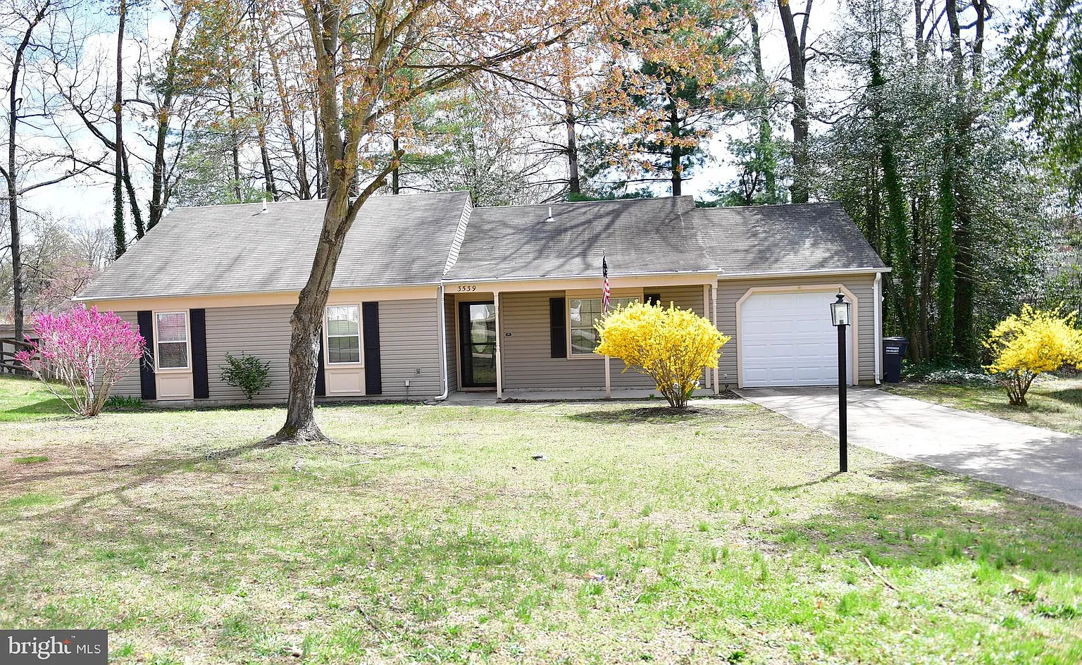 3539 Smokethorn Ct photo 1