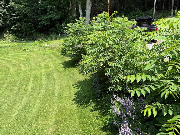 4th image of 1856 Maple Fork Rd