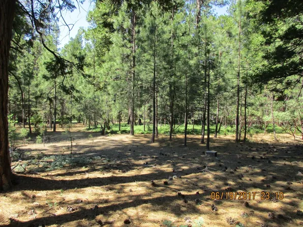 27405 State Highway 88, Pioneer, CA 95666