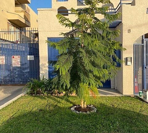 4th image of 14006 Doty Ave APT 7