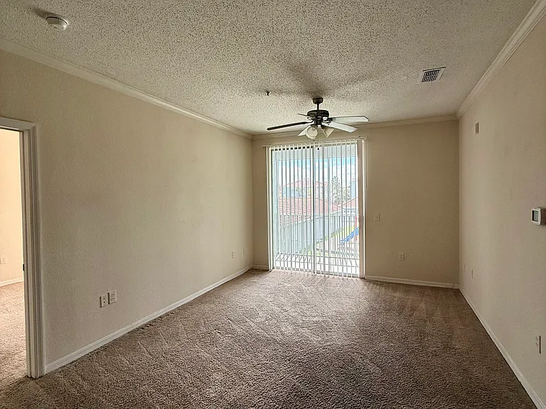 Living/Family Room