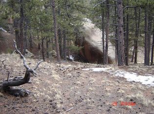 90 Garnet Way, Florissant, CO 80816