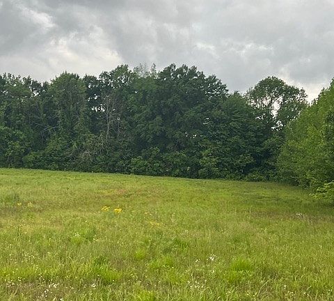 2nd image of 0 Billy Brown Ln Lot 5