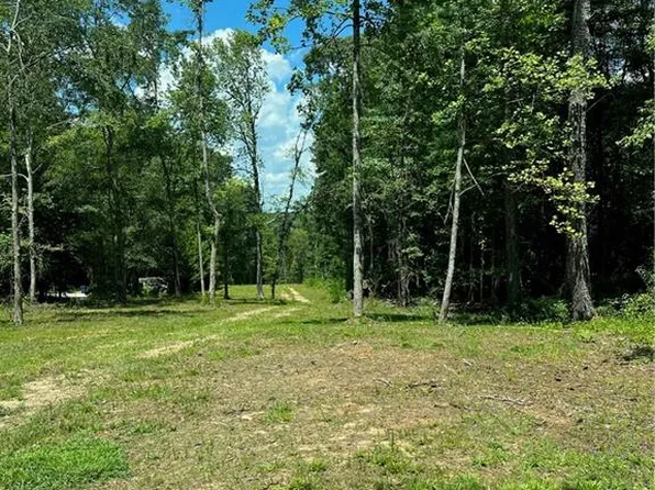 4475 Bullock Bridge Rd, Loganville, GA 30052