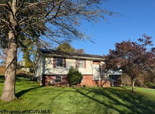 125 Beacon St, Belington, WV 26250