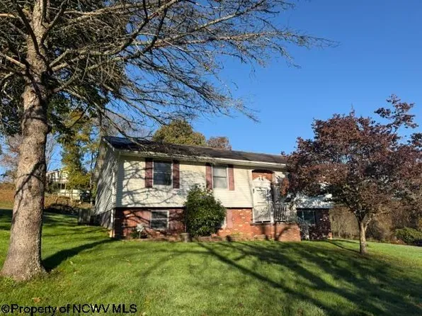 125 Beacon St, Belington, WV 26250