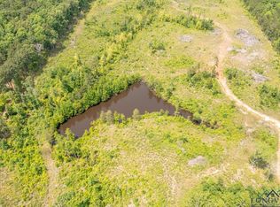 Narcissus Rd, Ore City, TX 75683