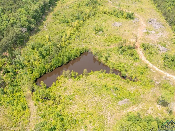 Narcissus Rd, Ore City, TX 75683