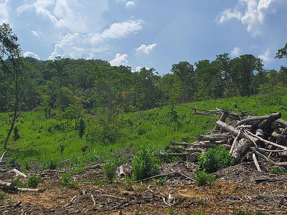 Image 4: 20210811_154627