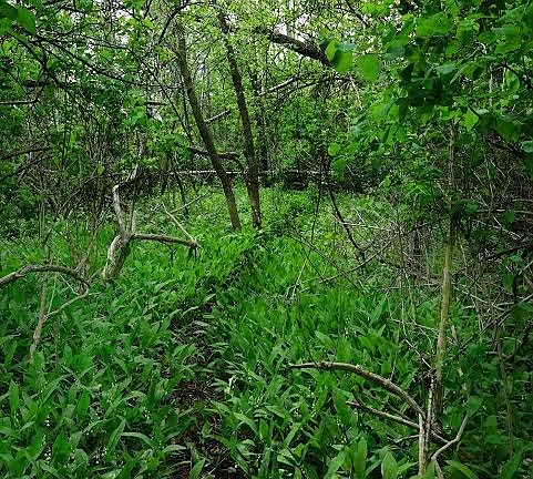 2nd image of XXXX E Superior St