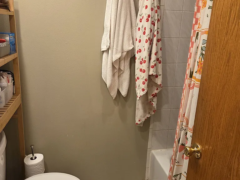 847 N Hoyne Ave #1F — Photo 16