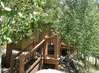 2040 Alliance Dr, Georgetown, CO 80444
