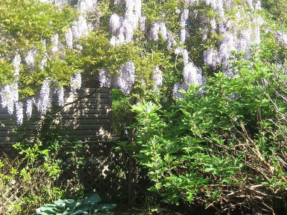 172 Feronia Way, Rutherford, NJ 07070 Zillow