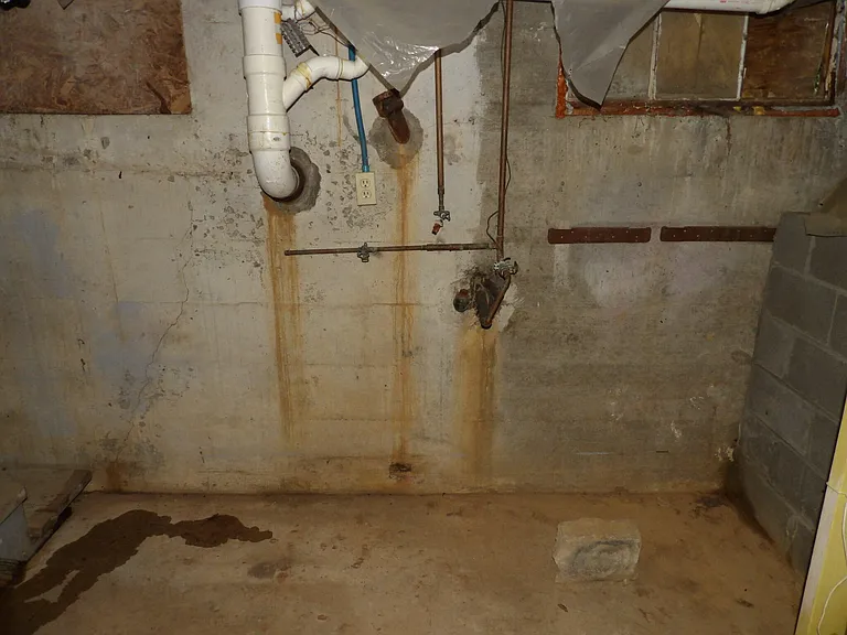 109 Allnutt Dr — Photo 36