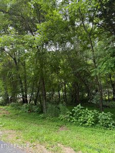 281 Ootsima Way, Loudon, TN, 37774