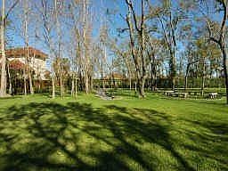 2nd image of 3111 Acorn Wood Way