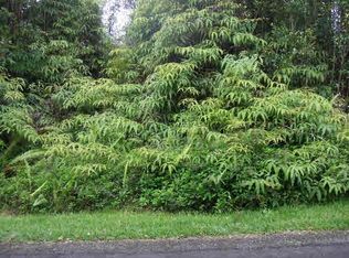 Hibiscus St, Mountain View, HI 96771