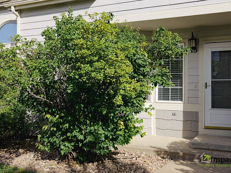 9567 Deerhorn Ct #15 — Photo 3