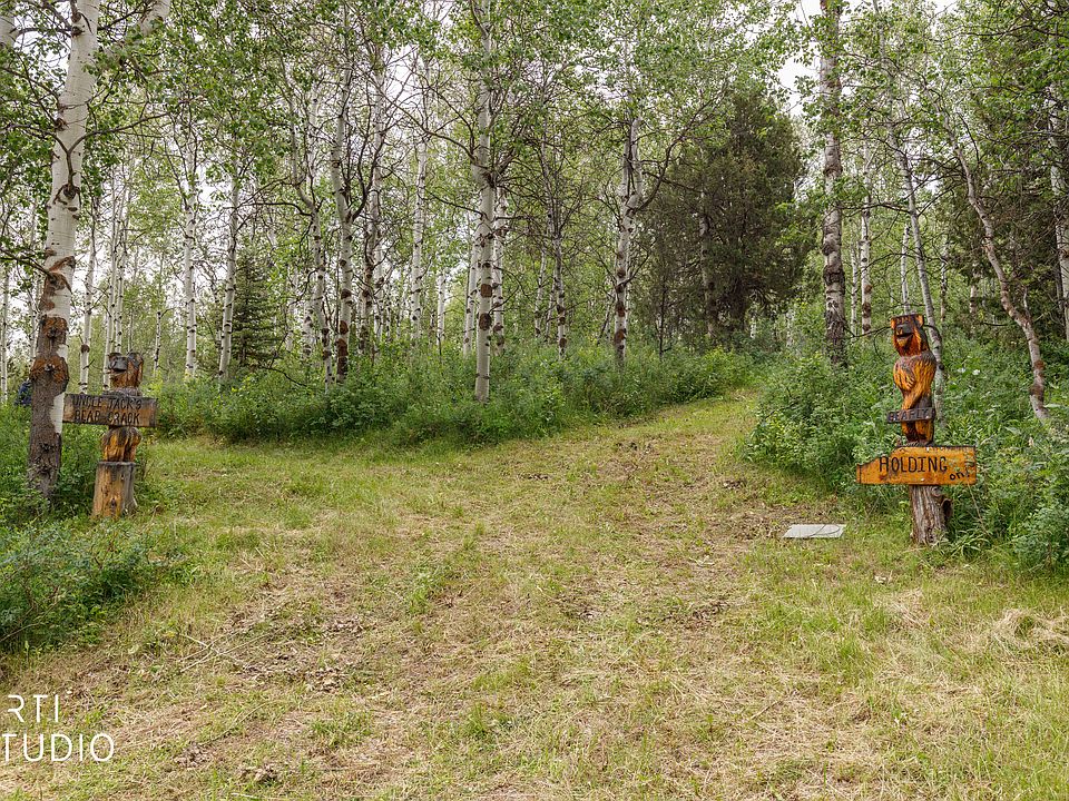 1st image of 20 Scare Cyn