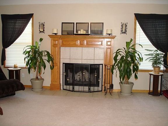 Wood Burning Fireplace