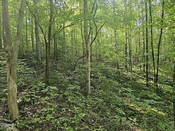 3rd image of 2 Franklin Ln Lot 2