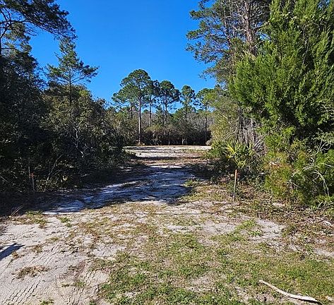 4th image of 2003 Lighthouse Rd