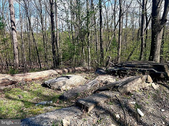 3rd image of 0 Maryland Ave Lot 46