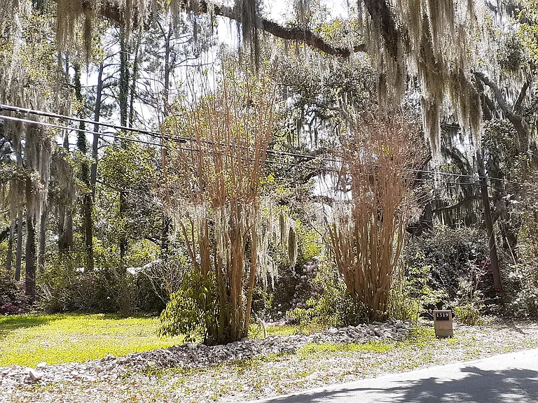 Wilmington Island Rd — Photo 121