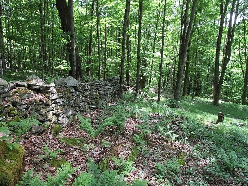 3rd image of ROSSMAN Road