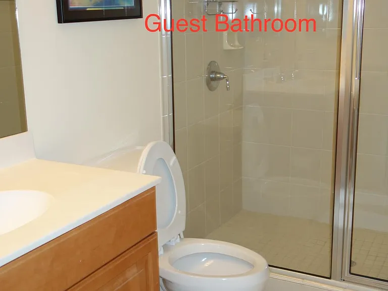 Guest bathroom