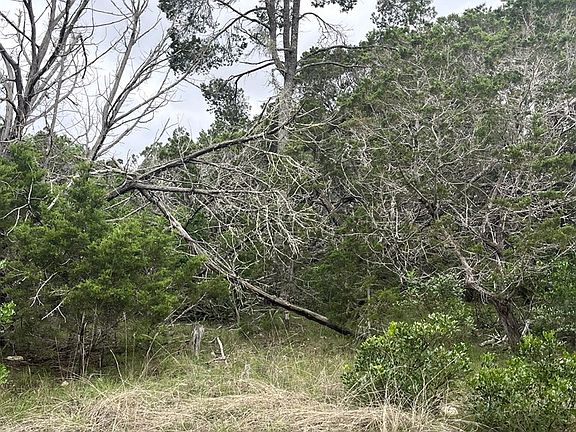 4th image of 178 N Ringtail Rd