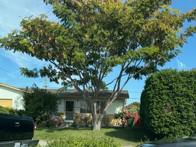2475 Moraine Dr, Santa Clara, CA, 95051