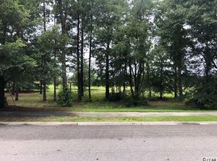 1463 Whoopingcrane Dr, Conway, SC 29526