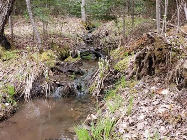 LOT 2 Thompson Rd, Studholm, NB E5P 1V9