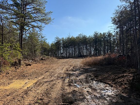 The gentle road leading into the property
