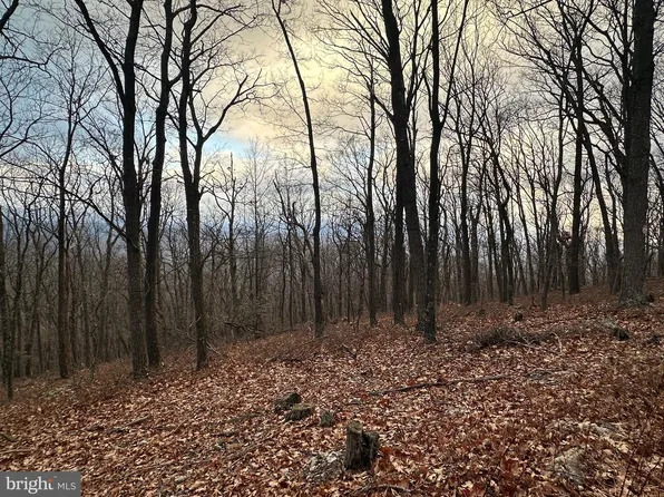 24 Sec #10, Slanesville, WV 25444