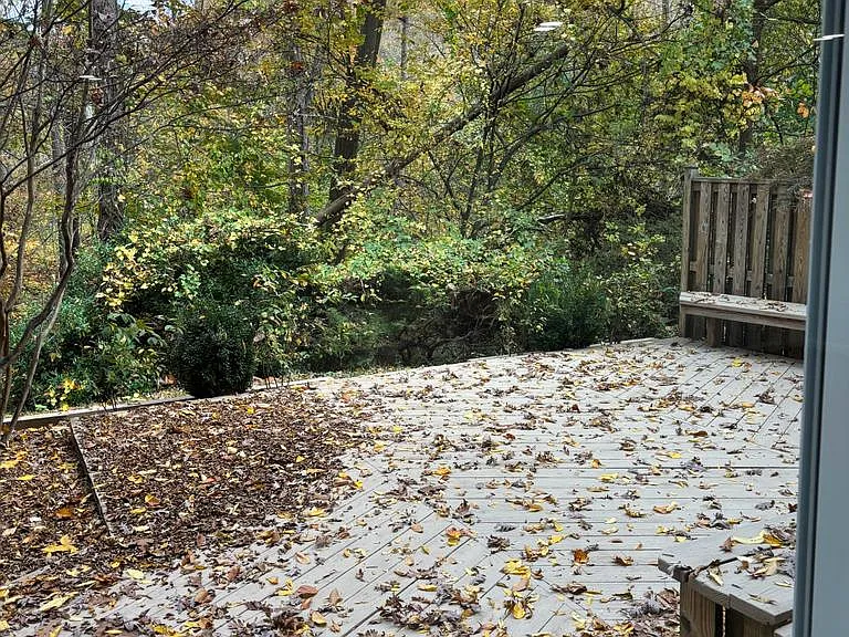 6803 Wild Rose Ct — Photo 47