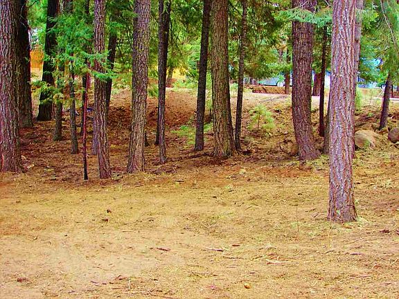 4th image of 428 Ponderosa Dr