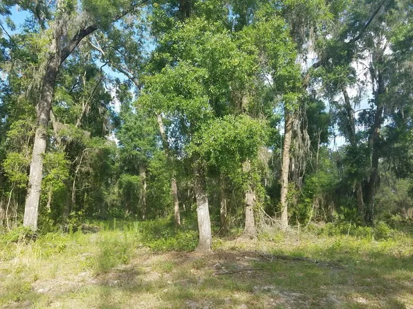 NW 45th Ter, Chiefland, FL 32626