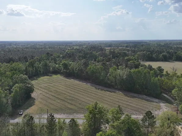 TRACT 3 Spring Branch Rd, Baxley, GA 31513