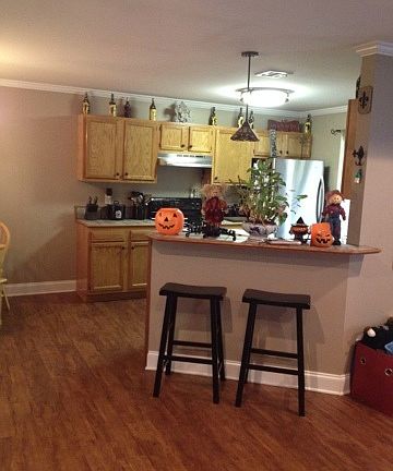 2nd image of 277 J Patrick Dr