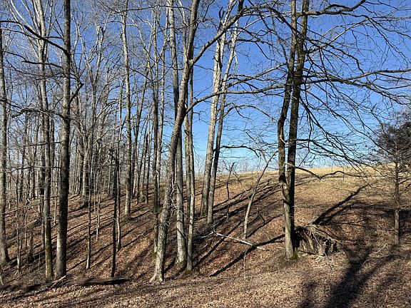 4th image of 4 N Lick Creek Rd Lot 4