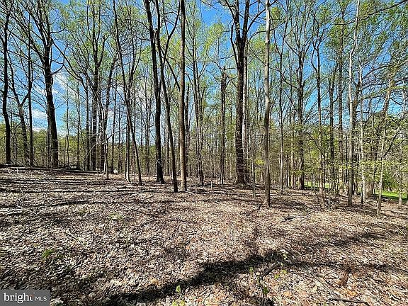 Lot 53, Property