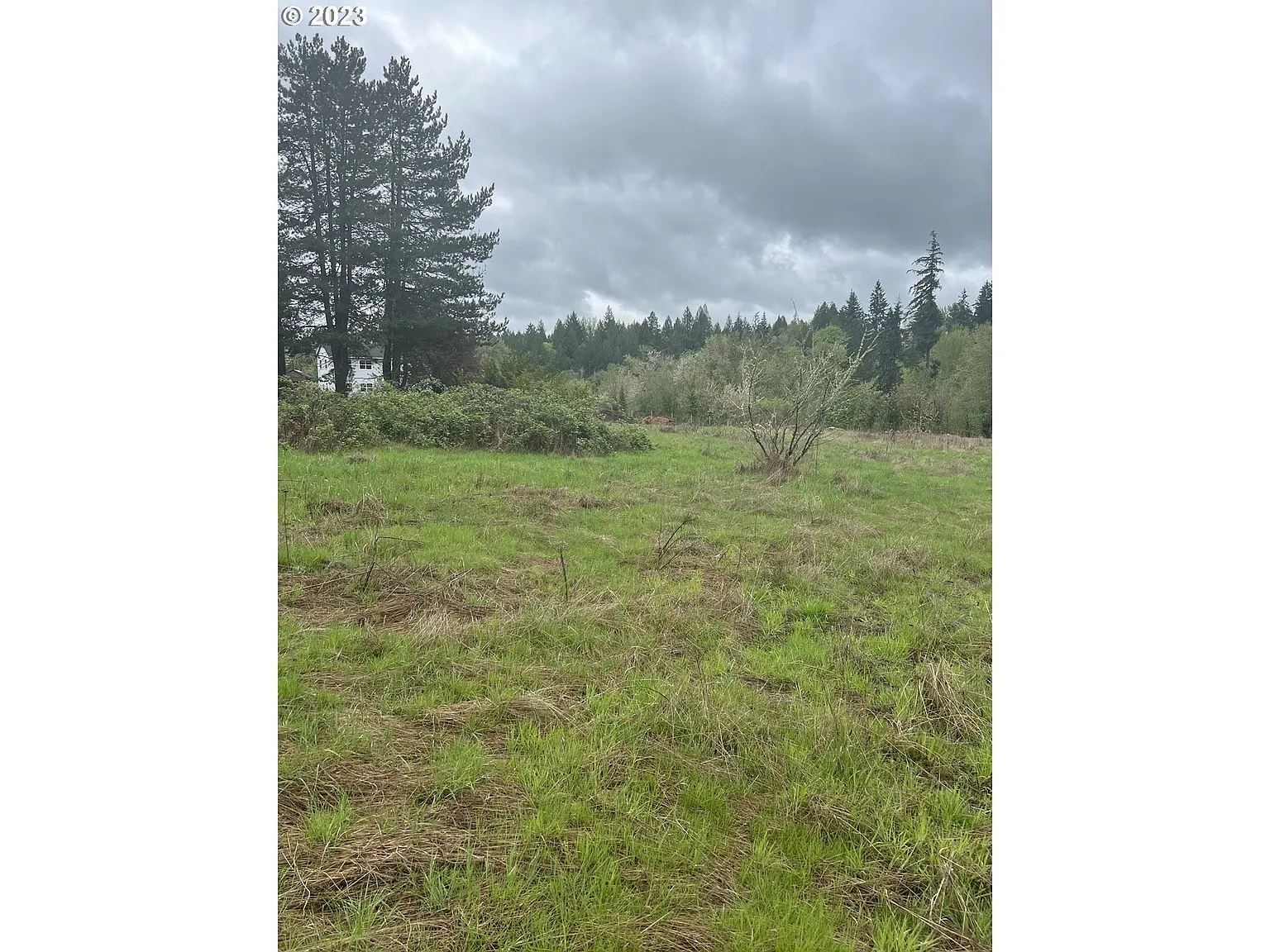 16055 SW Hillsboro Hwy photo 1