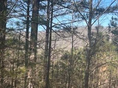 9 Pinehurst Rd, Blairsville, GA, 30512